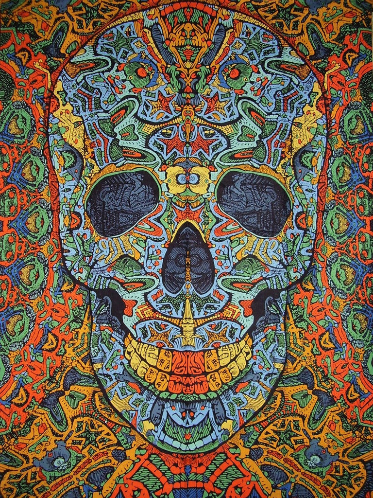 Poster Size 3-D Psychedelic Skull Cotton Wall Hanging 45" x 30" Multi Color with FREE 3-D Glasses