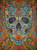 Poster Size 3-D Psychedelic Skull Cotton Wall Hanging 45" x 30" Multi Color with FREE 3-D Glasses