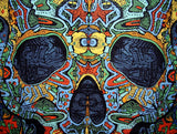 Poster Size 3-D Psychedelic Skull Cotton Wall Hanging 45" x 30" Multi Color with FREE 3-D Glasses